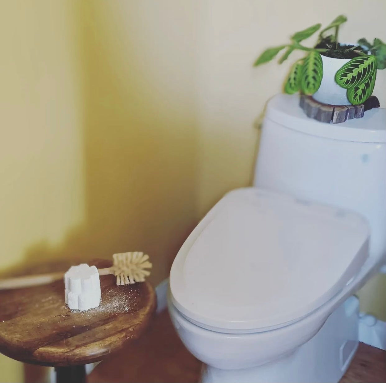 Toilet Bombs