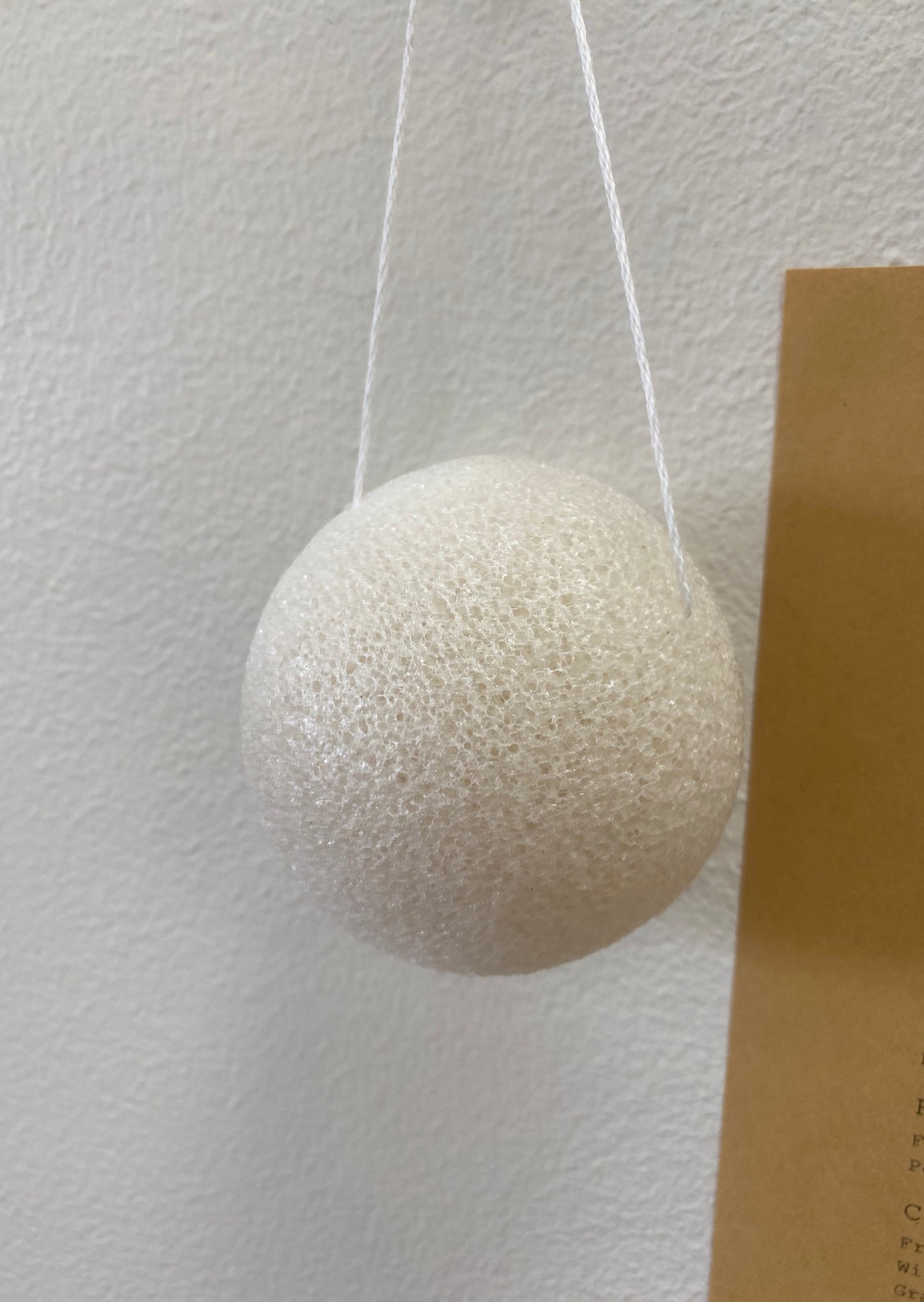 Konjac Root Facial Sponge