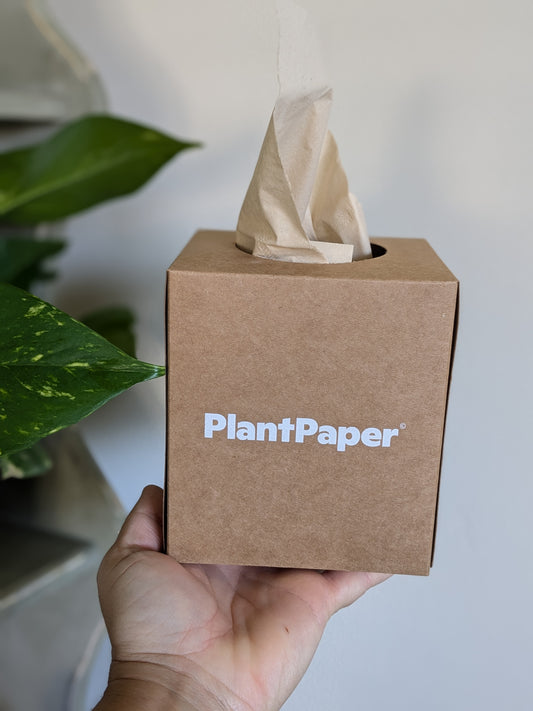 Plant Paper Facial Tissue